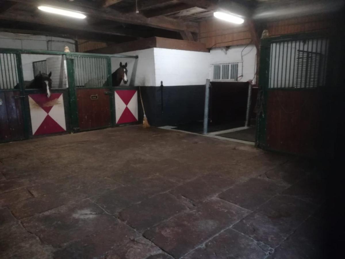 Erve Het Roolvink Boerderij Appartementen 40-50 M2 Енсхеде Екстериор снимка